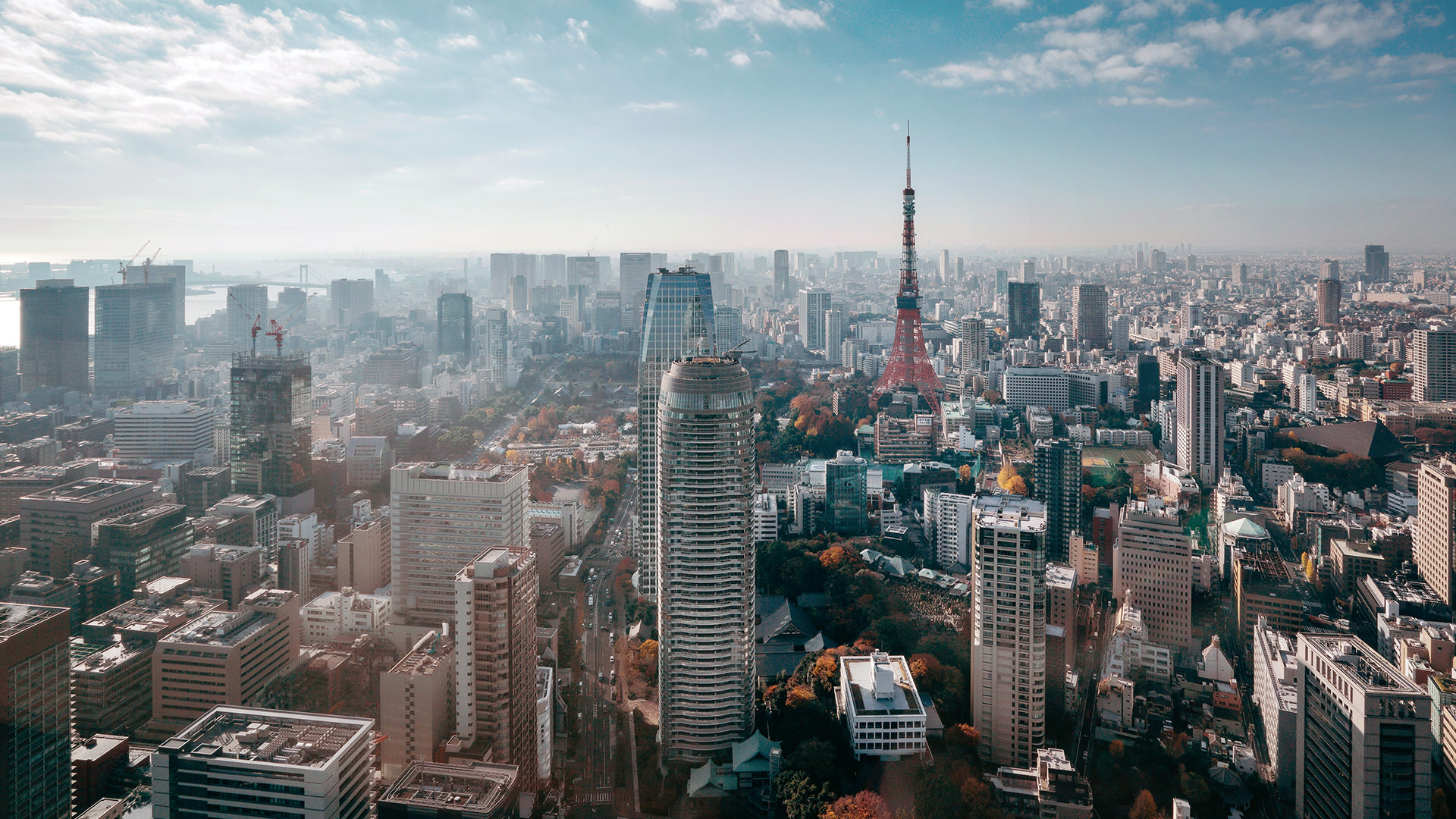 日本の建設業界がデジタルアダプションにあたってとるべき5つのアクション