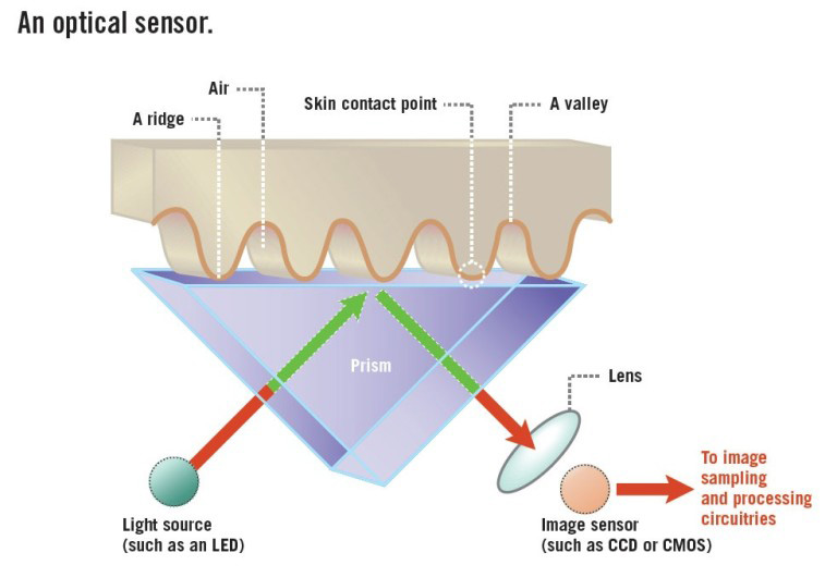 optical-fingerprint-scanner