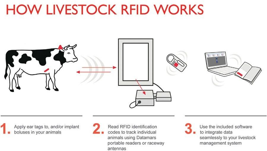 how-rfid-works